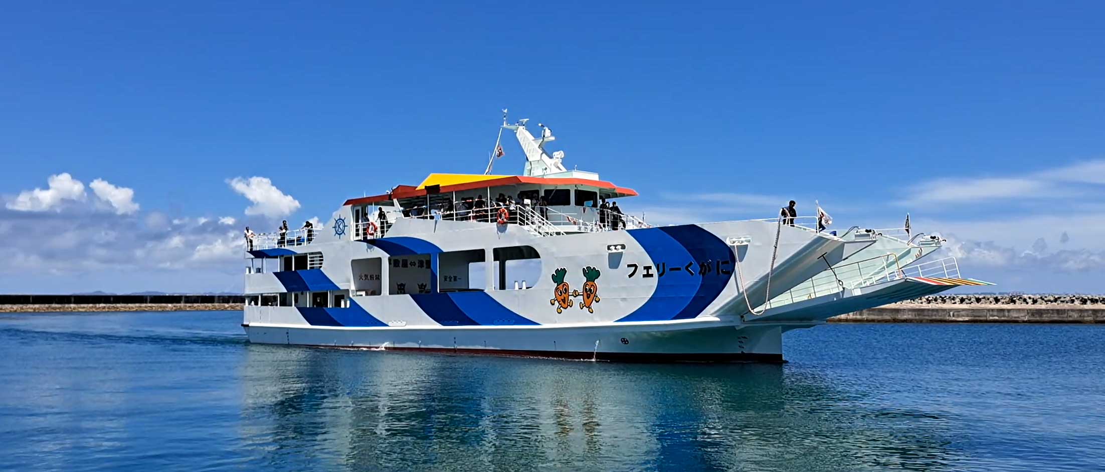 鑑賞石　船 ダイヤモンド プリンセス DIAMOND PRINCESS 観音崎 浦賀水道